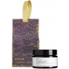 Evolve Nourish Stocking Filler - Daily Renew Facial Cream